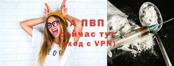 индика Алексин