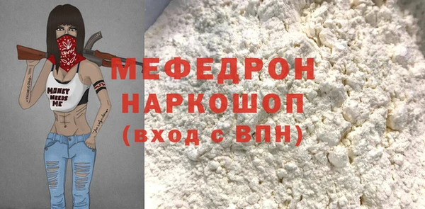 индика Алексин