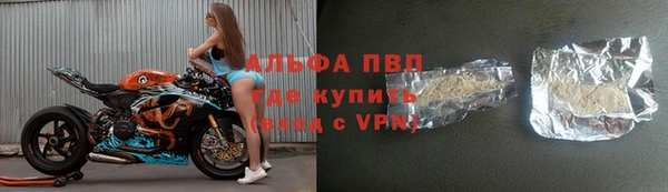 индика Алексин