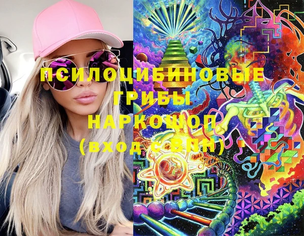 индика Алексин