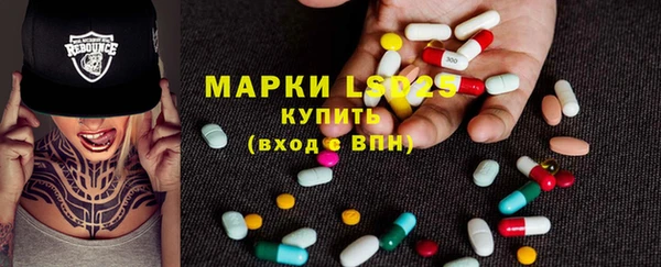 индика Алексин