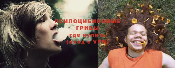 a pvp Алексеевка
