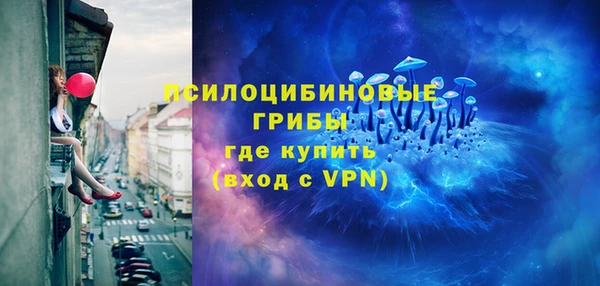индика Алексин