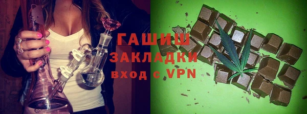 индика Алексин