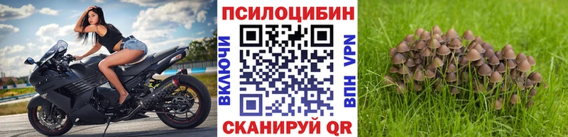 OMG ссылки Калтан Галлюциногенные грибы Cubensis где купить наркотик
